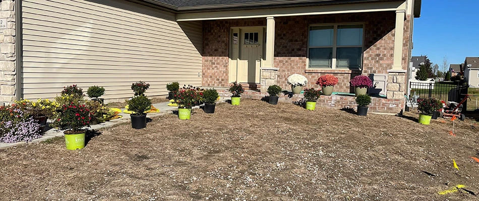 Potted trees and shrubs lined along our client's home in Bethalto, IL ready to be planted.