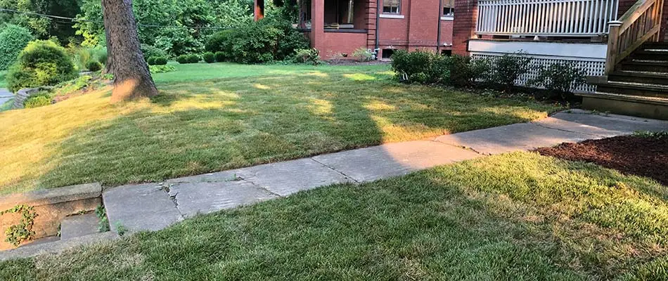 Newly installed sod on an inclined yard in Maryville, IL.