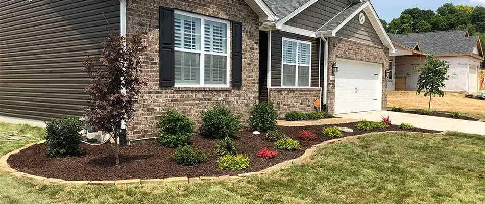 Edwardsville, IL home with new landscape bed, mulch installation, and plantings.