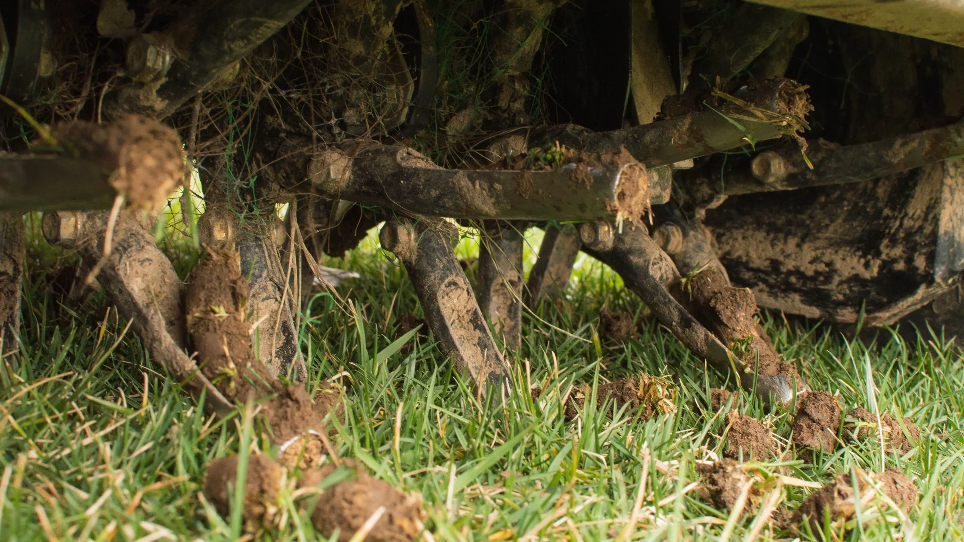 Preparing Your Lawn Before Core Aeration Ensures the Best Results!