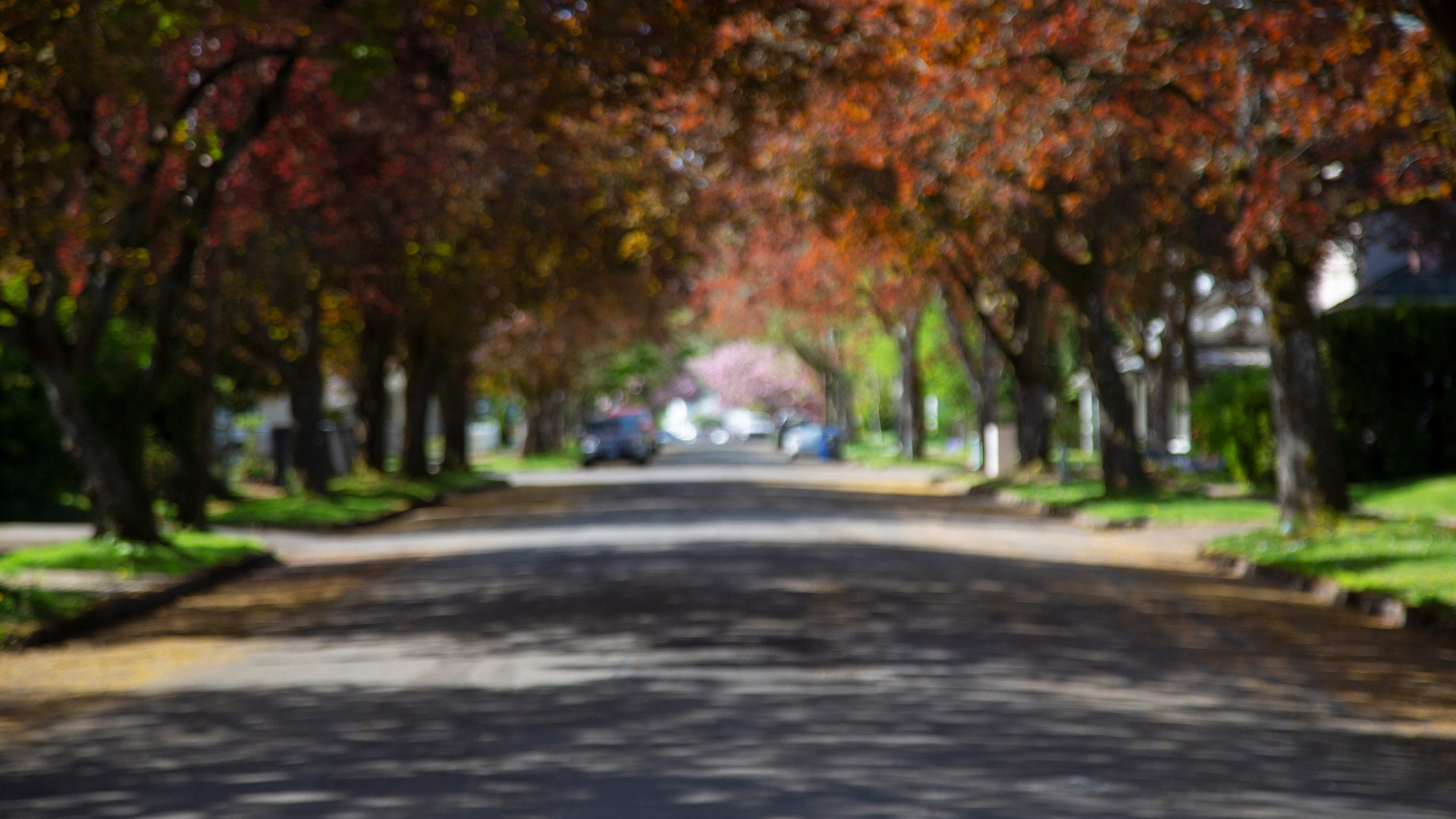 A blurred view of a neighborhood street in Troy, IL.