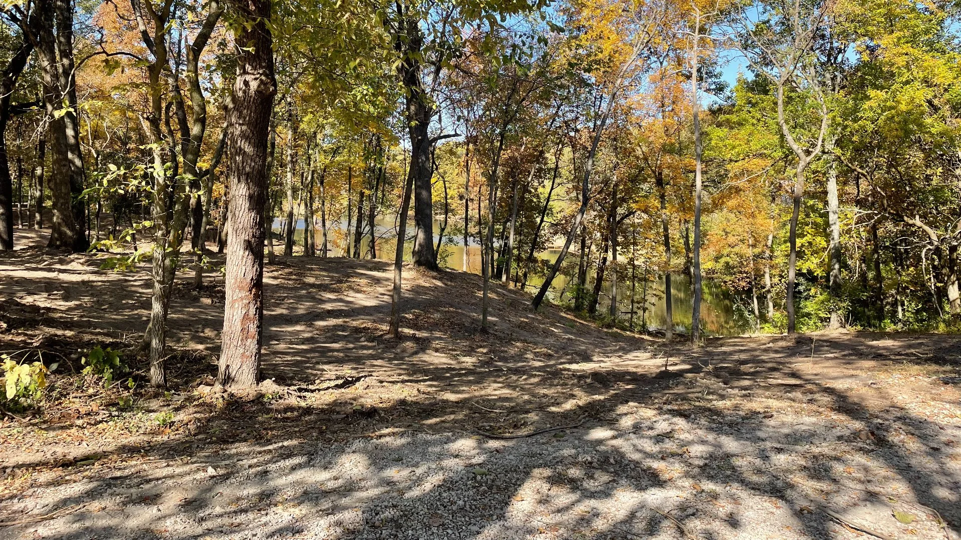 How Much Will It Cost to Clear Your Land?