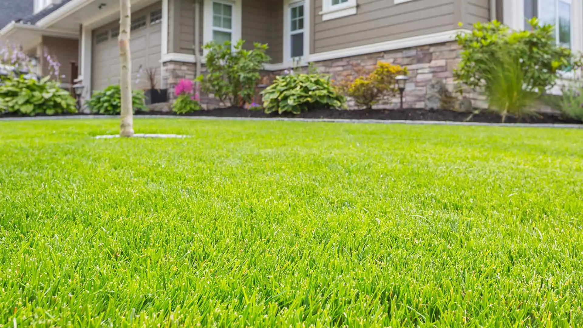 A Bethalto, IL property with regular lawn care services.