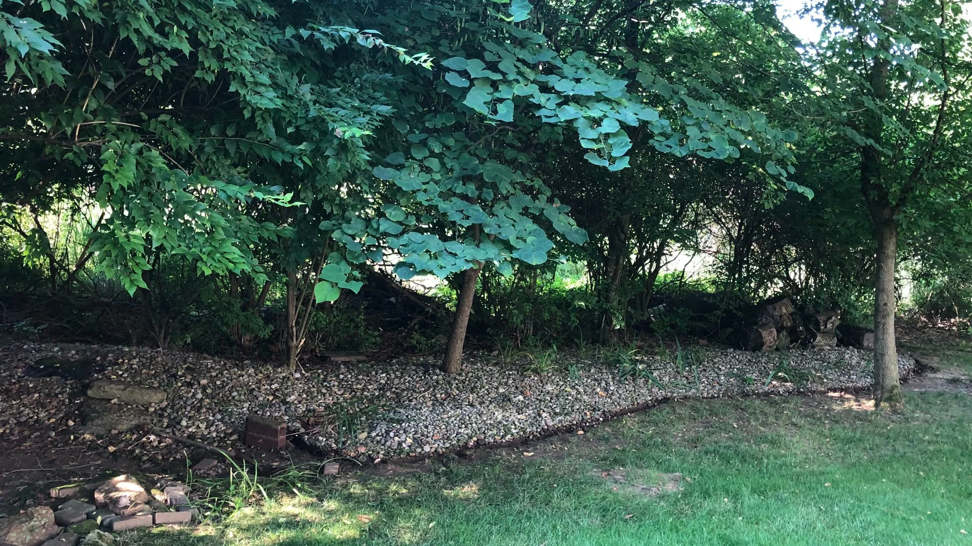Comparing Dry Creek Beds vs French Drains
