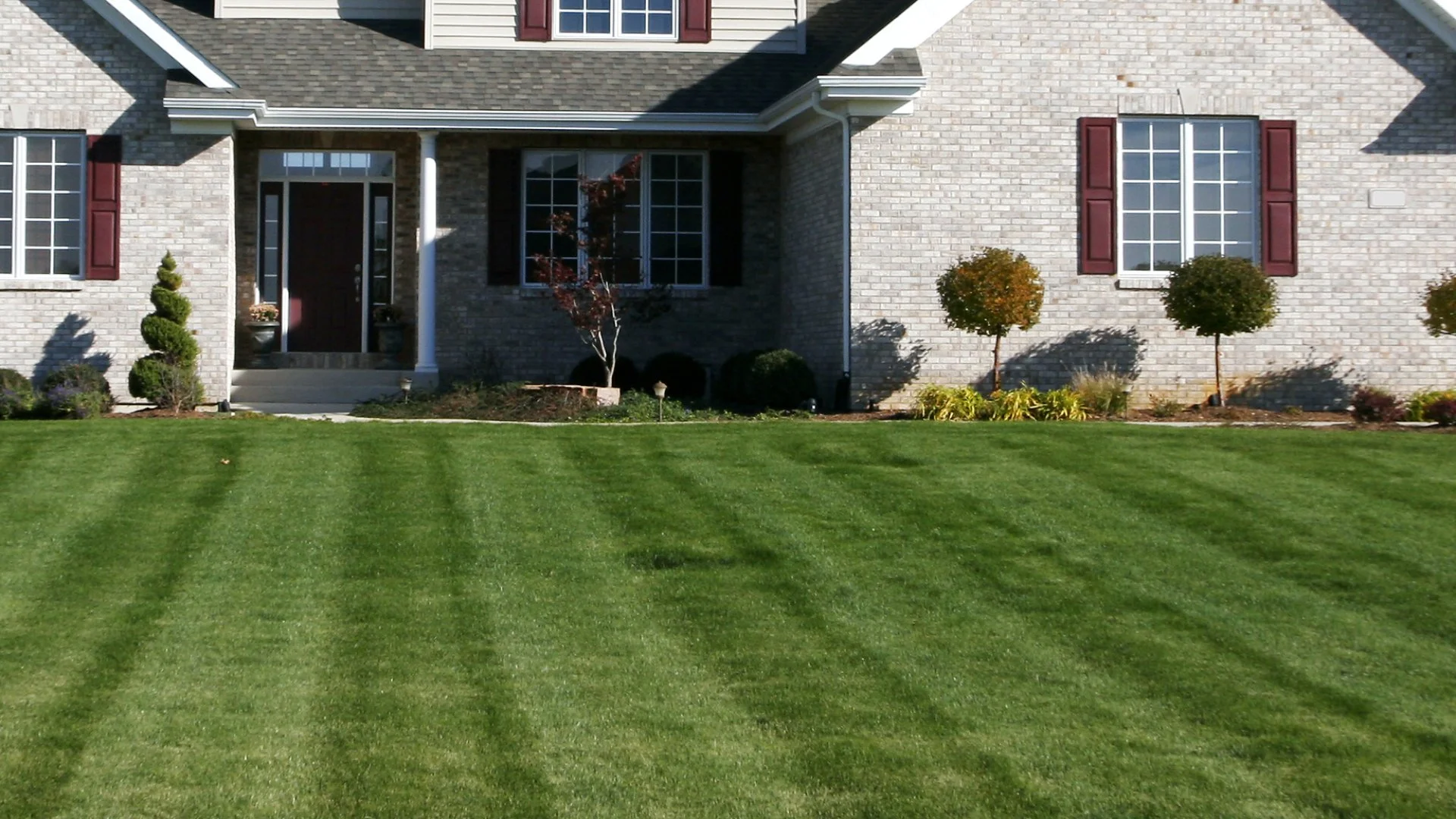 Is It Bad to Mow Wet Grass?