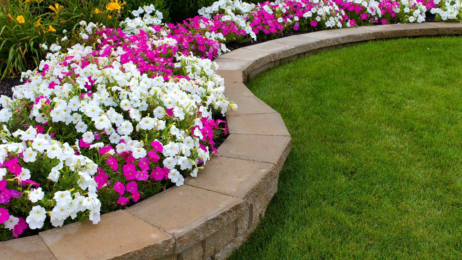 Flower bed renovation with small retaining wall in Maryville, Illinois.