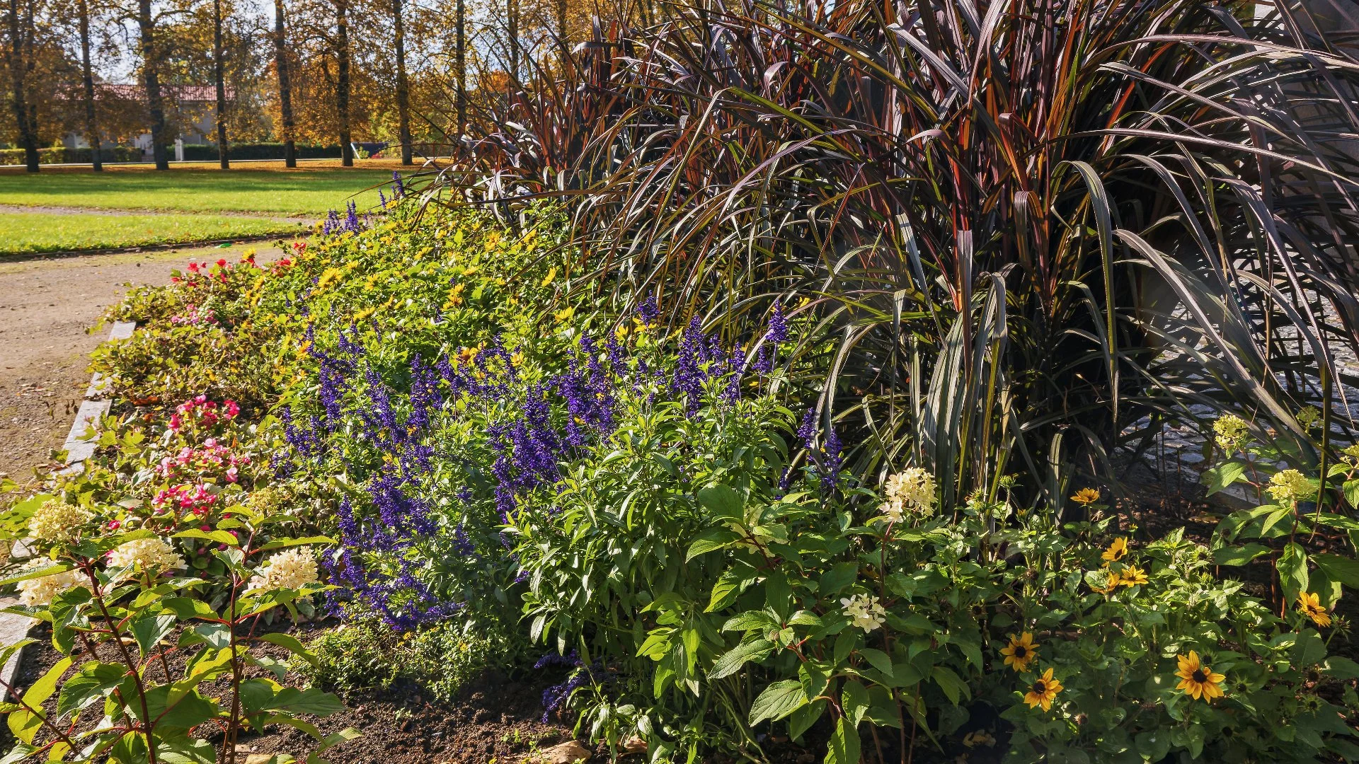 Landscaping Tip: How to Layer Plants to Maximize Visual Impact