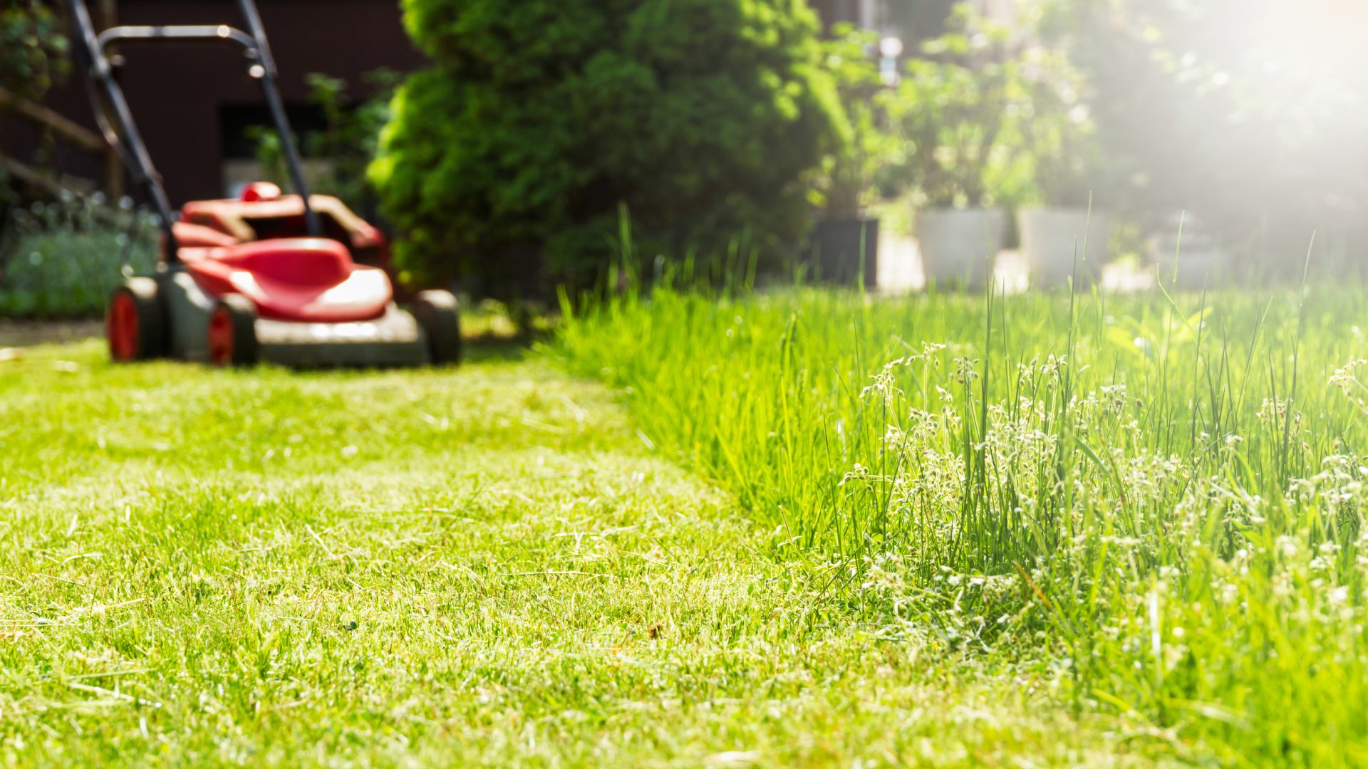 Tips for Mowing Your Lawn in the Spring in Illinois