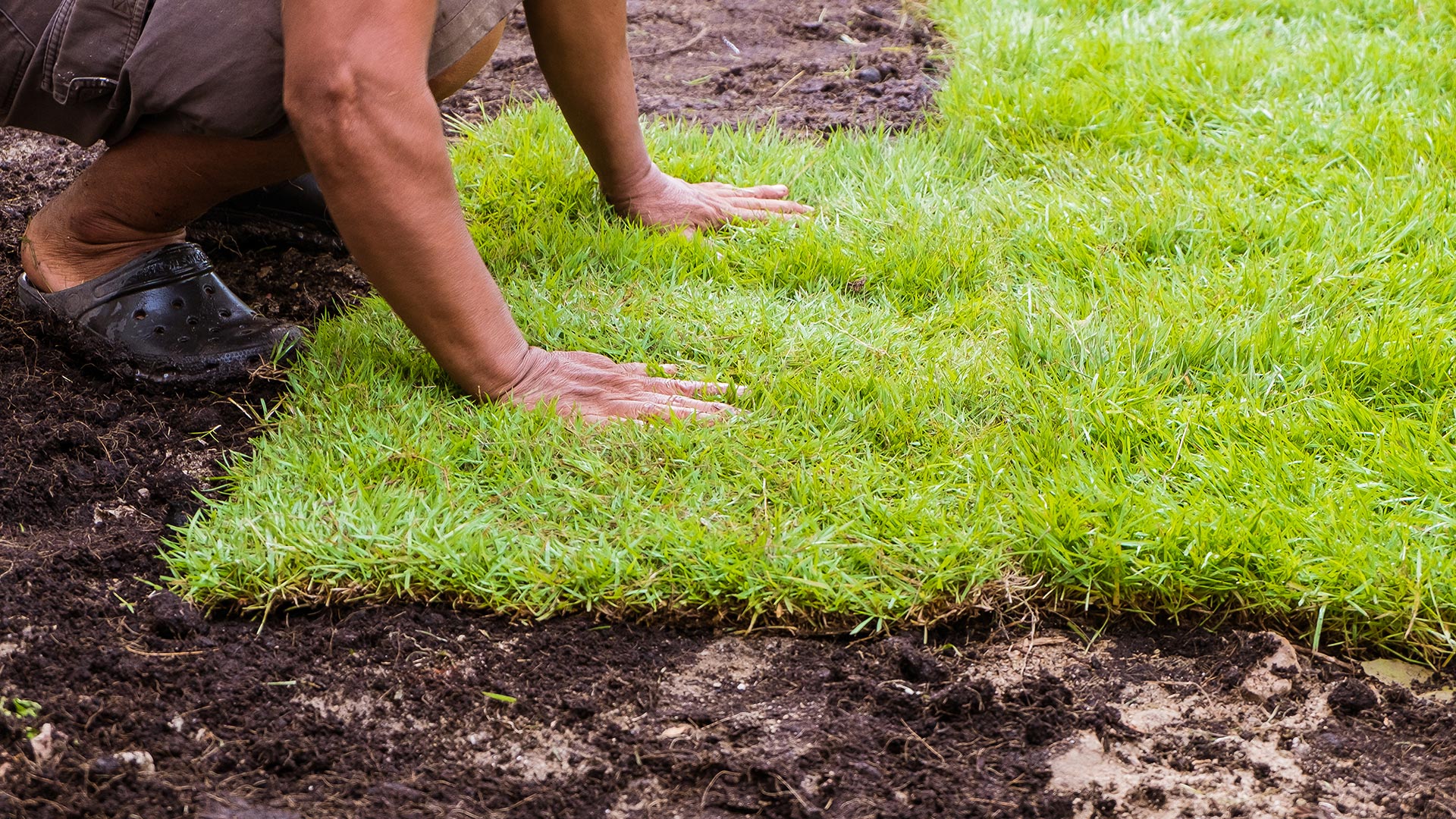 Want a Great Lawn Without Waiting? Get Sod!