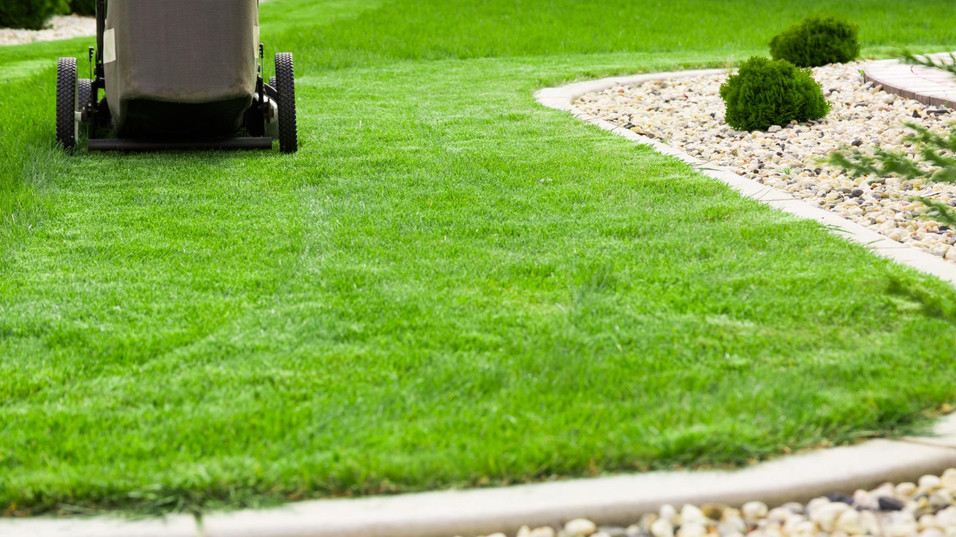 How Often & When Should You Be Mowing Your Grass in Illinois?
