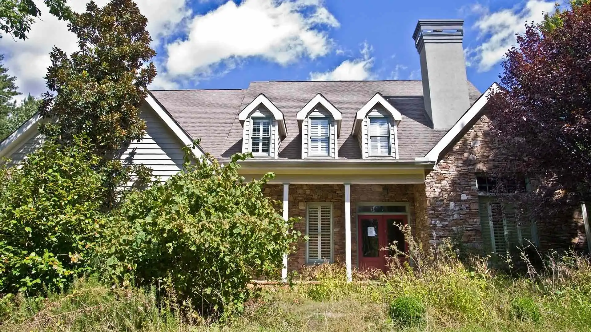 Overgrown yard at a Bethalto, Illinois property.