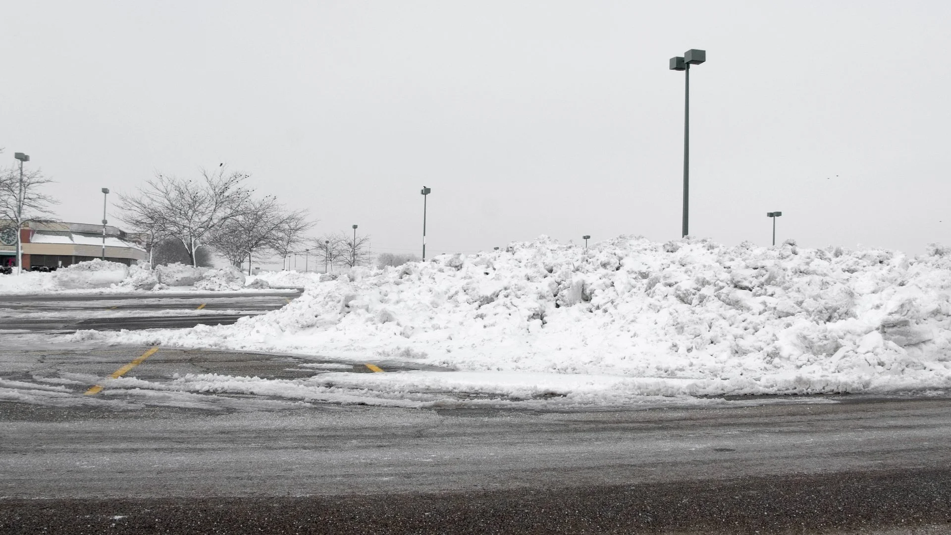 Are Seasonal Contracts Worth It for Commercial Snow Removal?