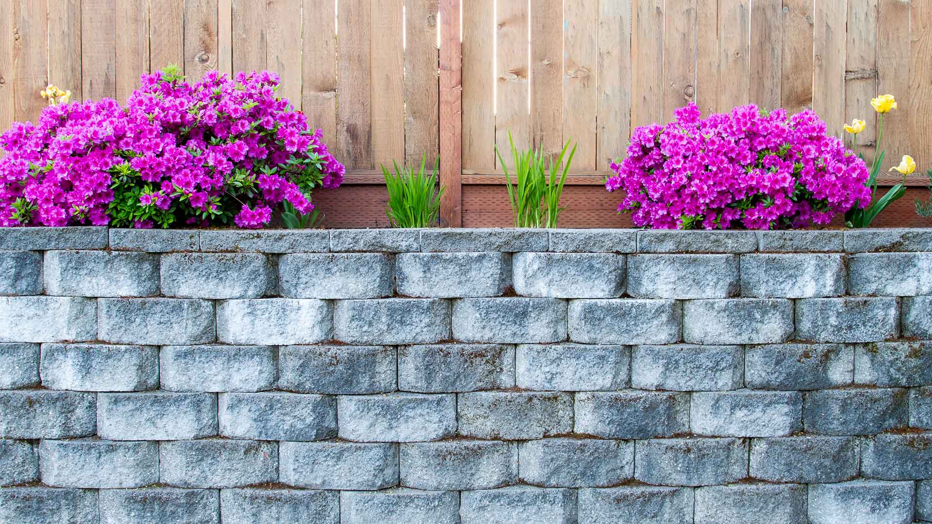 Custom retaining wall and annual flowers at a home in O'Fallon, Illinois.