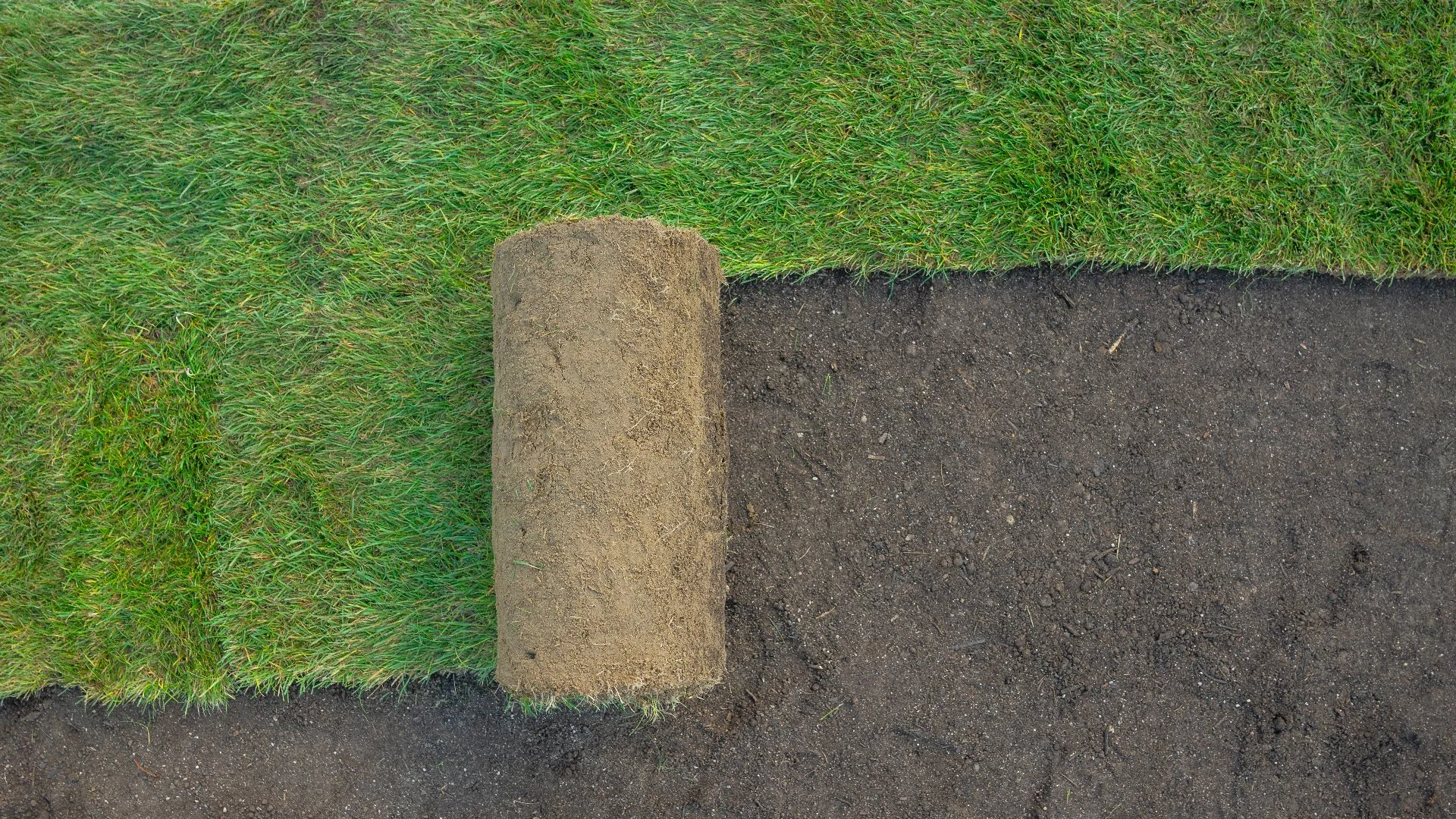 Sod Installation Cost: Key Factors That Affect Pricing