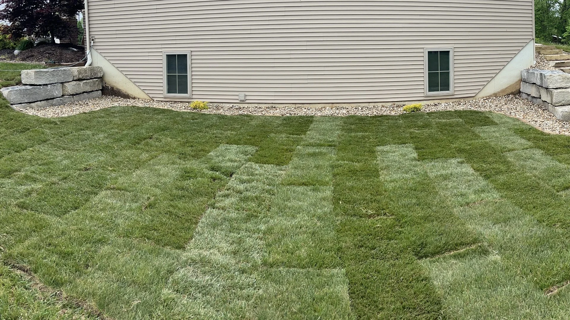 How Long Should You Wait Before Walking on New Sod?