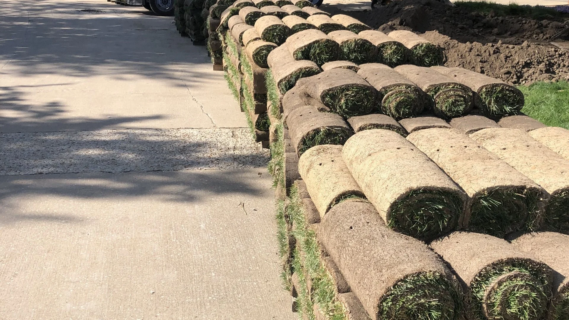 What Type of Sod Should You Use?