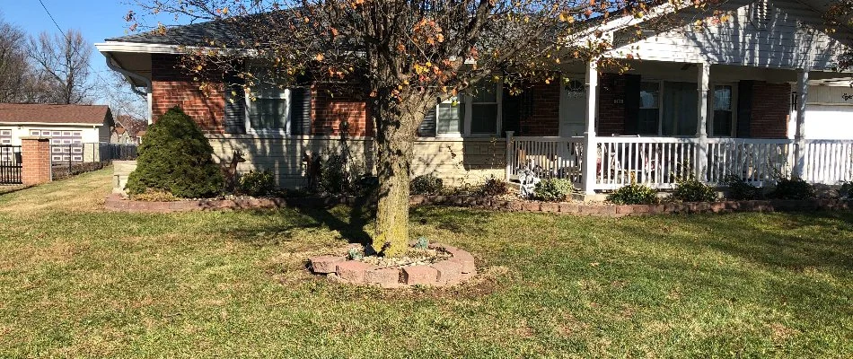 A lawn in front of a house in Edwardsville, IL, after a leaf removal service.