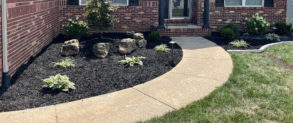 Landscape bed in Edwardsville, IL, with mulch and plants.