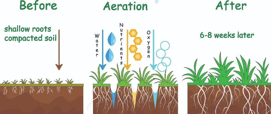 Diagram showing aeration improving resource access in Edwardsville, IL.