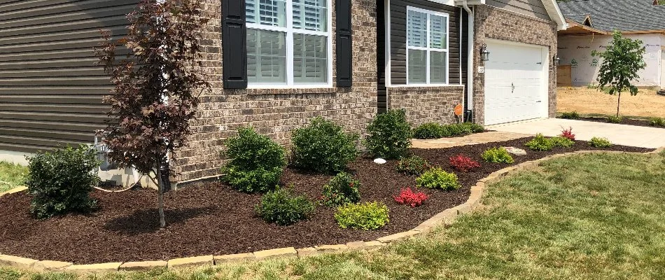 Front yard landscape bed in Edwardsville, IL, with mulch and plants.