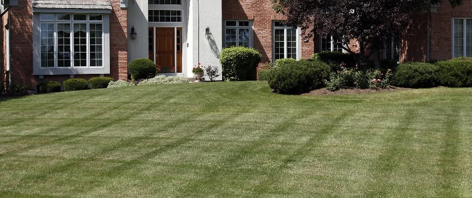 Green lawn in Edwardsville, IL, with mowing pattern.