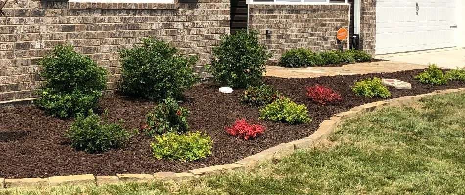 Landscape bed in Edwardsville, IL, with mulch and plants.