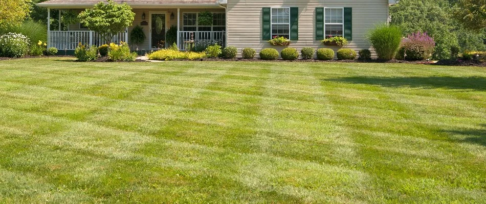 Lawn in Edwardsville, IL, after mowing.