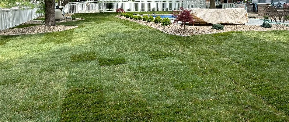 Newly installed sod around a pool area in Edwardsville, IL.