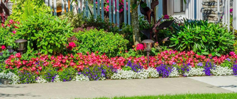 Pink, purple, and white flowers in a landscape in Edwardsville, IL.