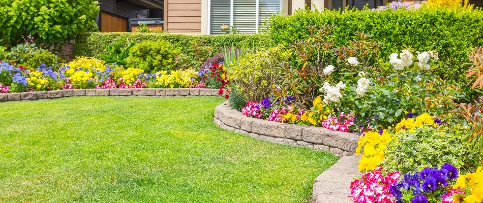 Raised planter beds in Edwardsville, IL, with plants.