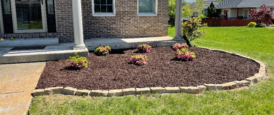 Small landscape bed in Edwardsville, IL, with flowers and fresh mulch.