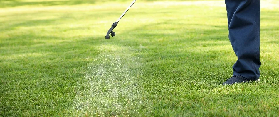 Spraying a weed control treatment on a green lawn in Edwardsville, IL.