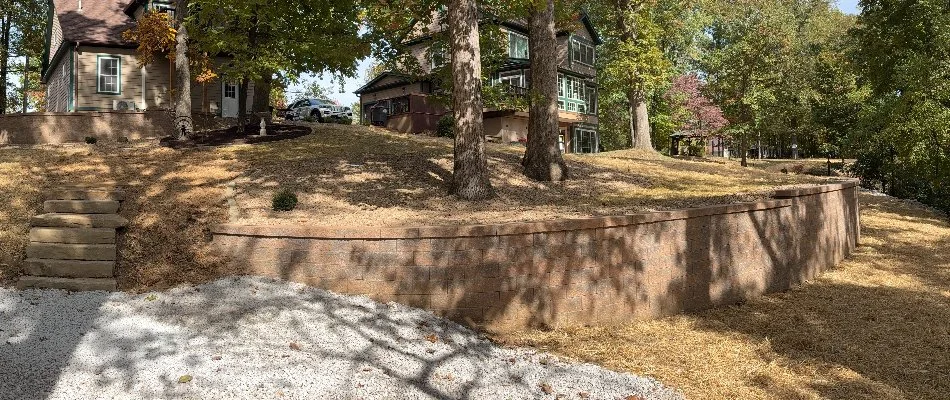 Trees above a retaining wall in Edwardsville, IL.