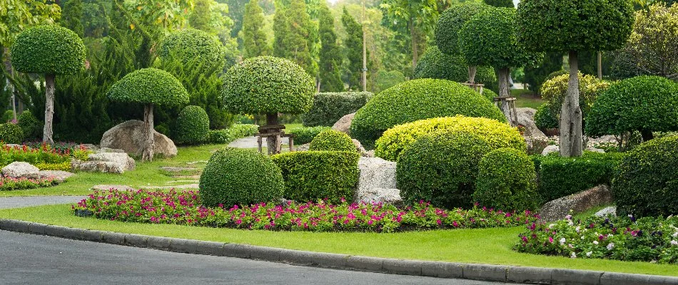 Plants being trimmed on a property in Edwardsville, IL.