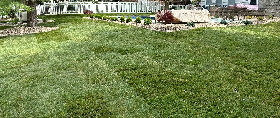Backyard in Edwardsville, IL, with newly installed sod.