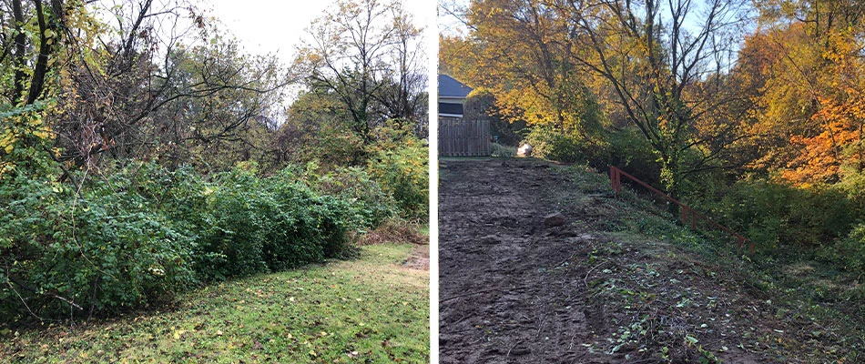 Before and after land clearing services in Maryville, Illinois.