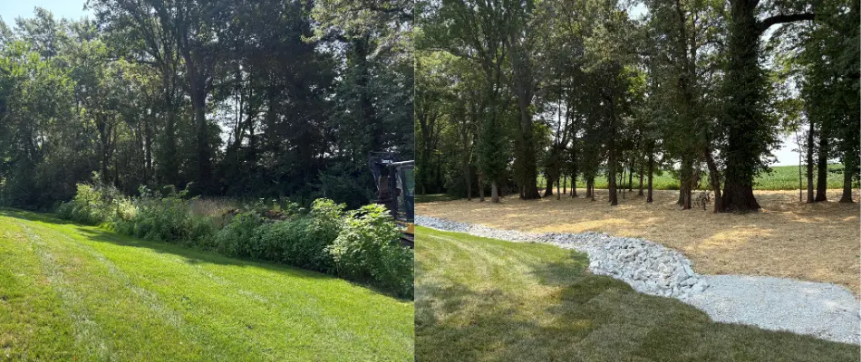 Before and after photo of a land clearing project.