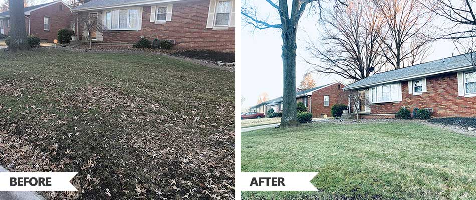 Before and after leaf removal services at a home in O'Fallon, Illinois.