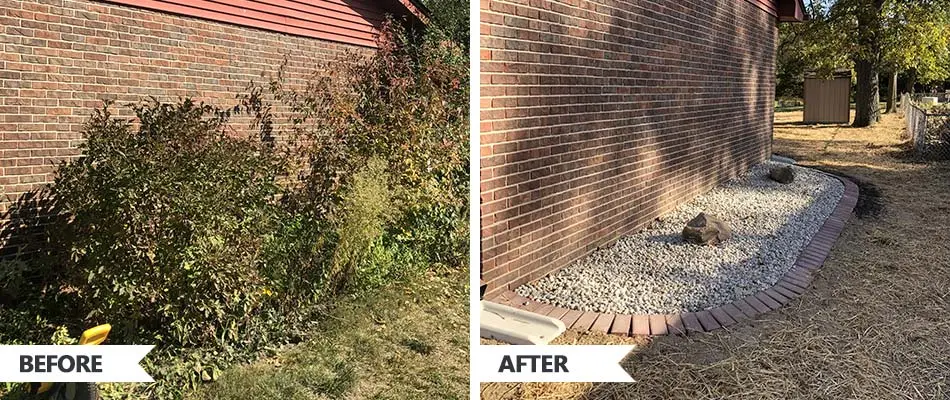Before and after picture of a messy landscape bed with overgrown shrubs to a landscape bed with edging and a rock ground covering in Moro, IL.