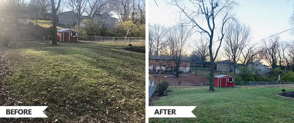 Before and after leaf removal services at a home in Bethalto, Illinois.