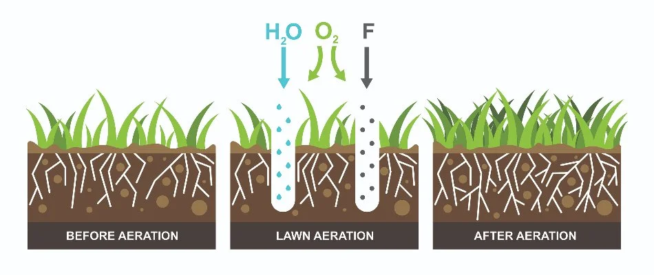 Graphic of before and after aeration.
