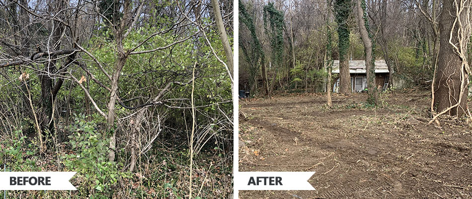 Land clearing field before and after collage in Edwardsville, IL.