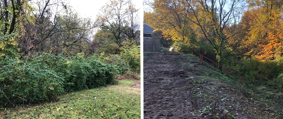 Before and after of land clearing project in Brighton, IL.