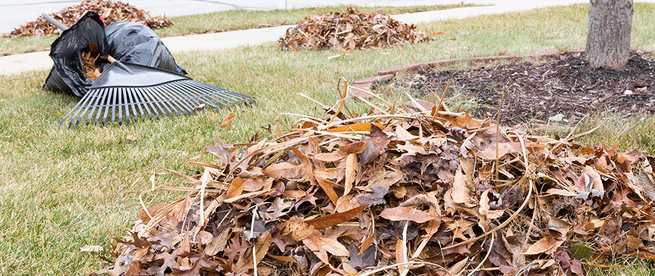 Leaf piles in a lawn in Edwardsville, IL.