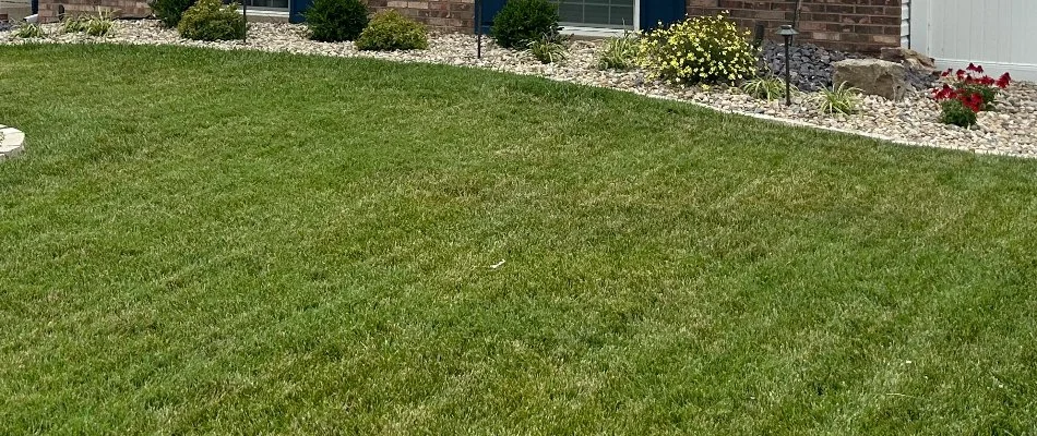 Mowed grass and landscape bed in Macoupin County, IL.