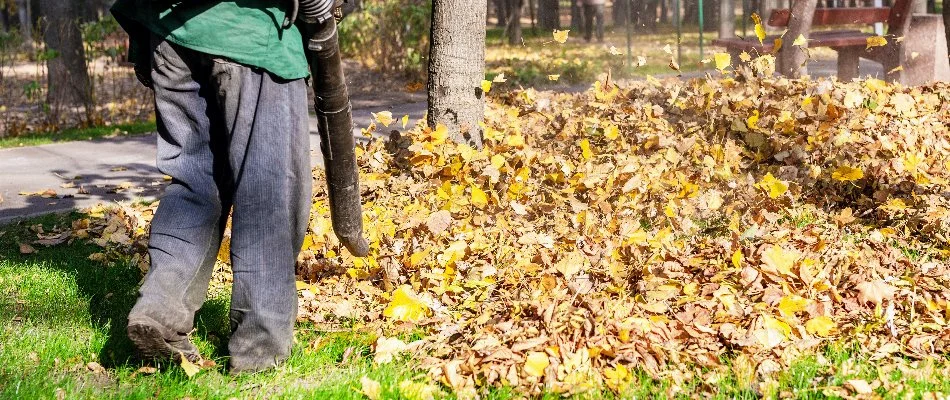 Person using a leaf blower on a property in Edwardsville, IL.