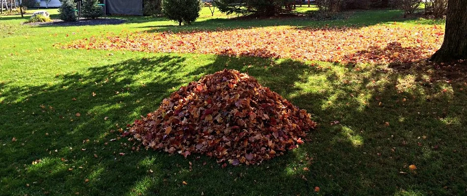 Leaves on a lawn on a property in Edwardsville, IL.