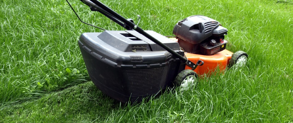 Push mower in thick lawn in Glen Carbon, IL.